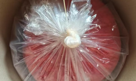 Compound Sodium Nitrophenolates